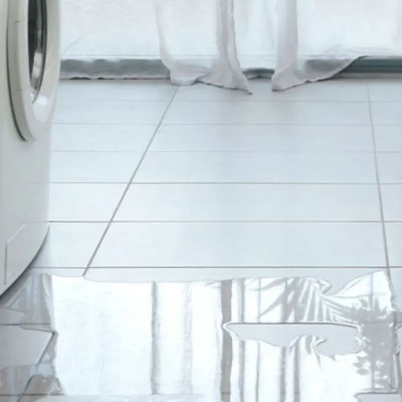Appliance Leak Cleanup in Watertown, WI