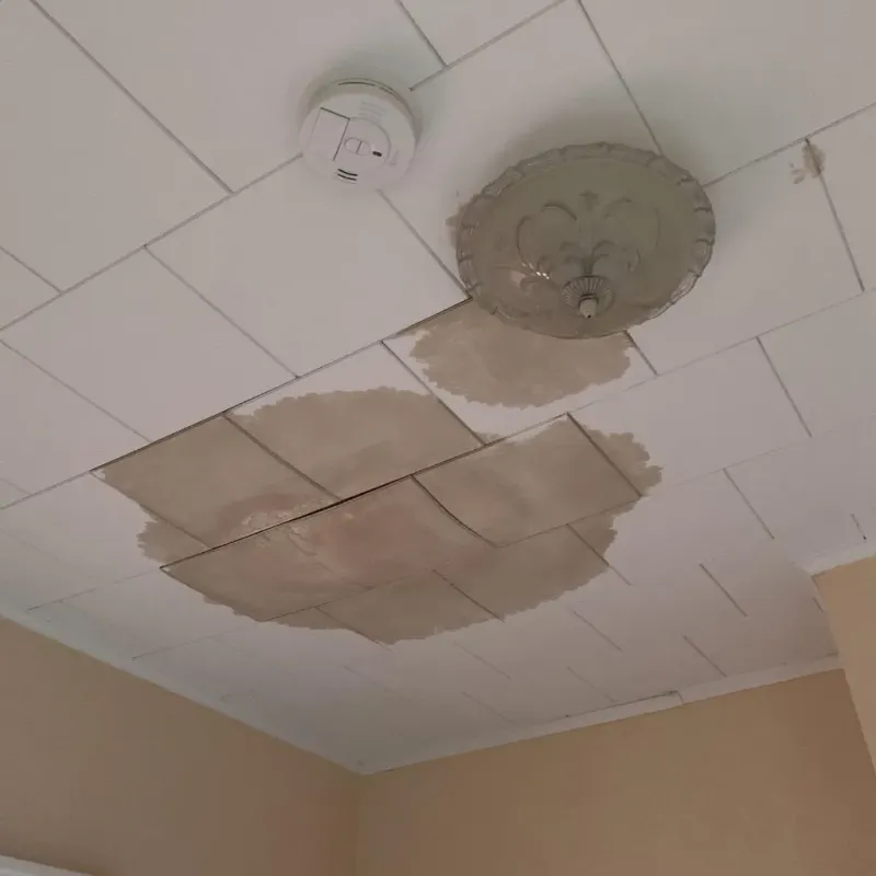 Ceiling Water Damage Repair in Watertown, WI