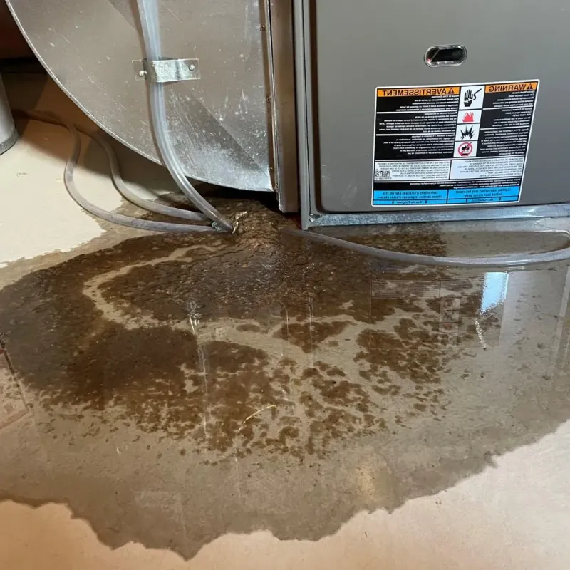 Pipe Burst and Leak Restoration in Watertown, WI